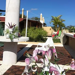https://cabrera-chalet-boutique-hotel-and-fine-dinning.greaterantilleshotels.net